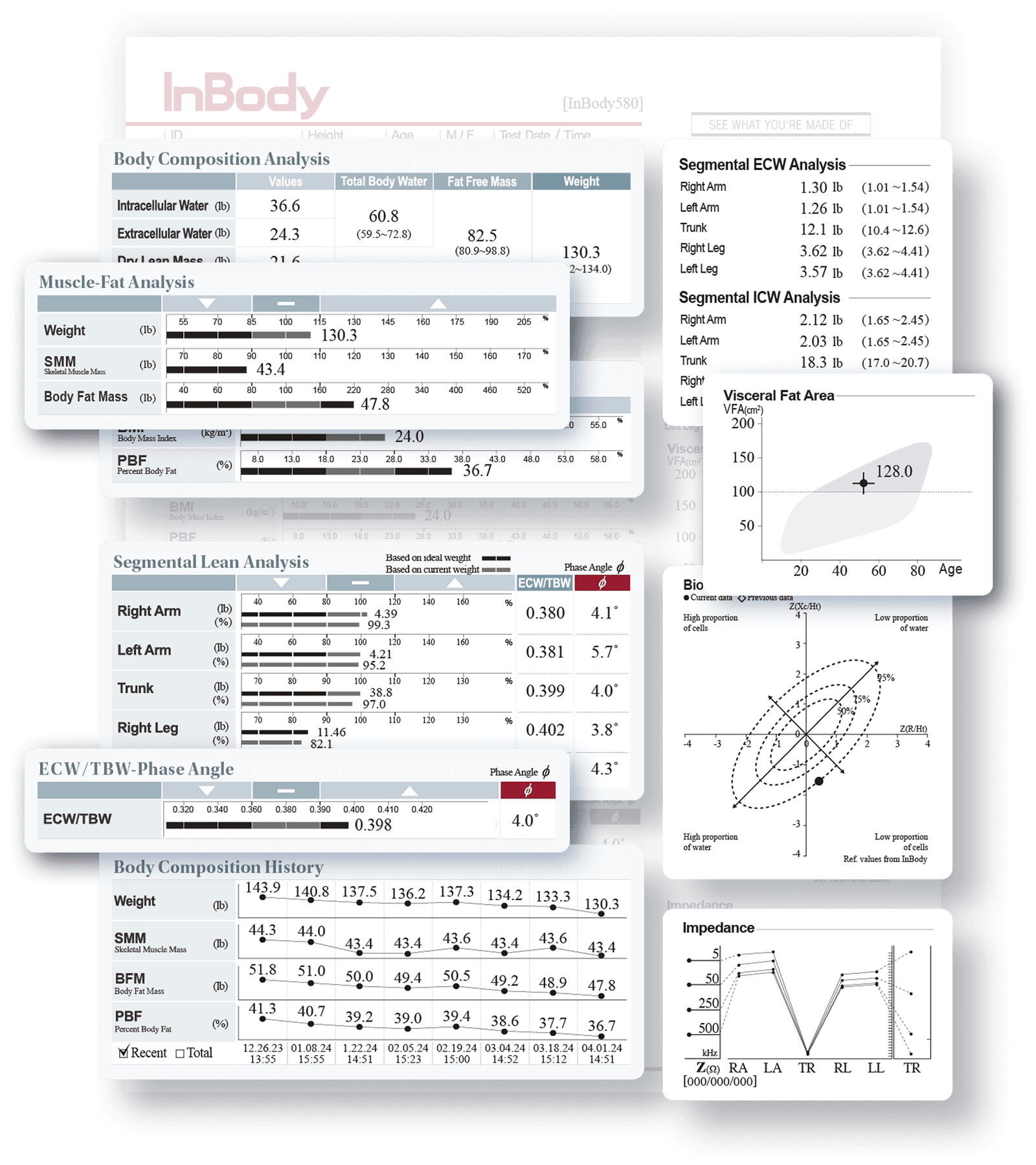 InBody 580 Result Sheet